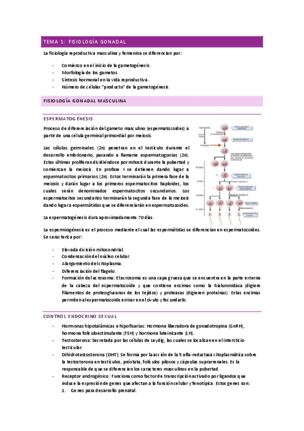Miniatura del documento Bloque I