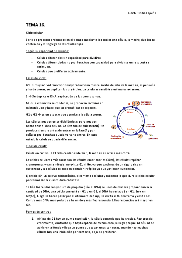 Miniatura del documento TEMA-16.pdf