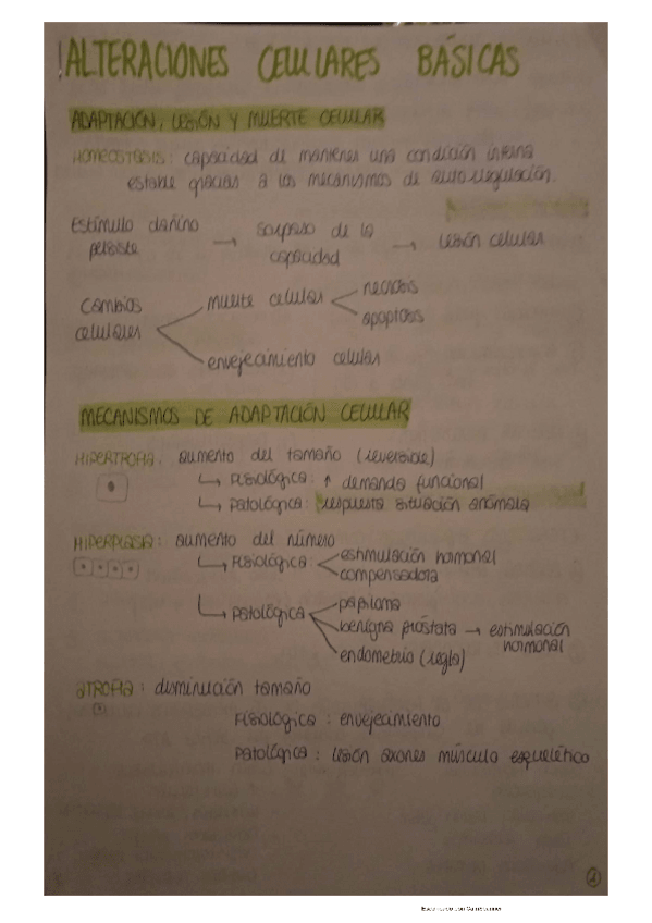 Miniatura del documento TEMA-2-ALTERACIONES-CELULARES-BASICAS.pdf