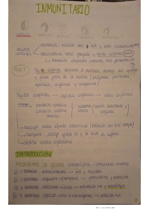 Miniatura del documento TEMA-4-SISTEMA-INMUNOLOGICO-.pdf