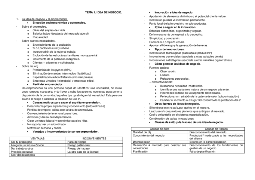 Miniatura del documento TEMA1. IDEA DE NEGOCIO.pdf