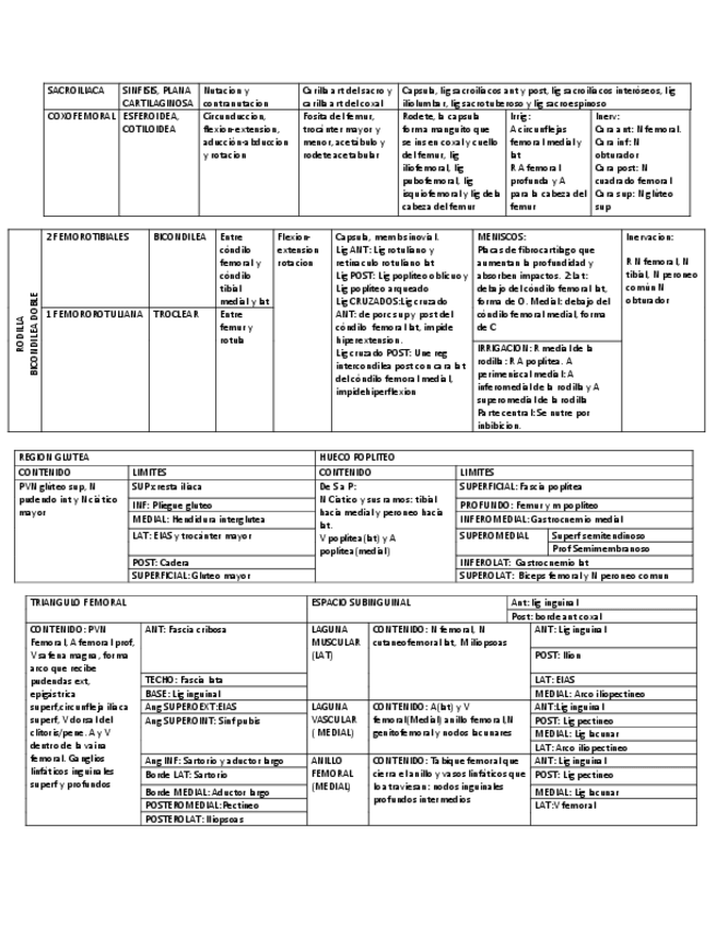Miniatura del documento miembro-inferior.pdf