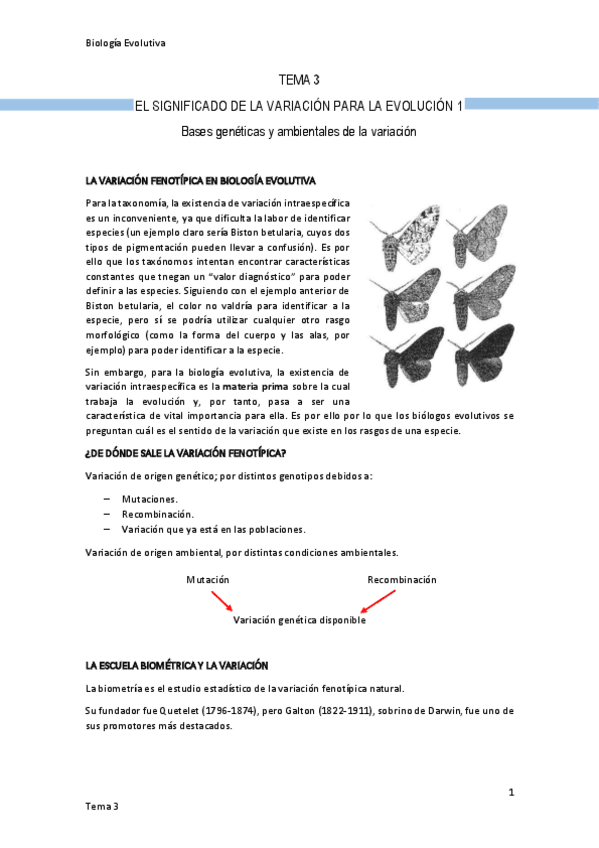 Miniatura del documento Tema-3-Bases-geneticas-y-ambientales-de-la-variacion.pdf