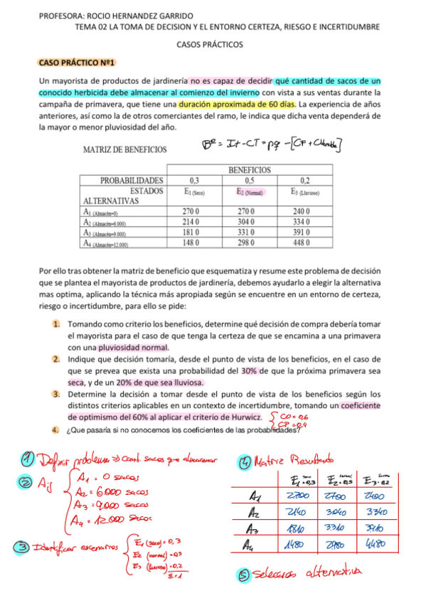 Miniatura del documento CASOS-PRA-CTICOS-DE-LA-TOMA-DE-DECISIONES.pdf