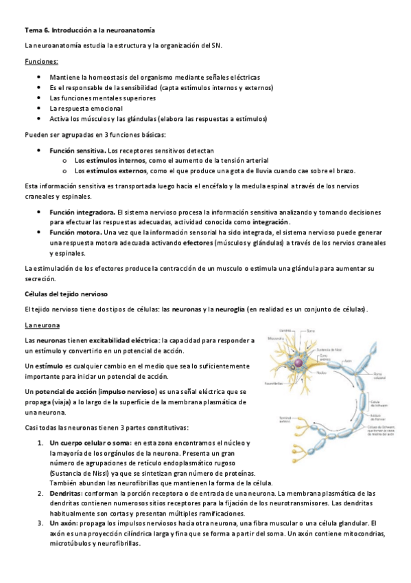 Miniatura del documento Tema-6.pdf