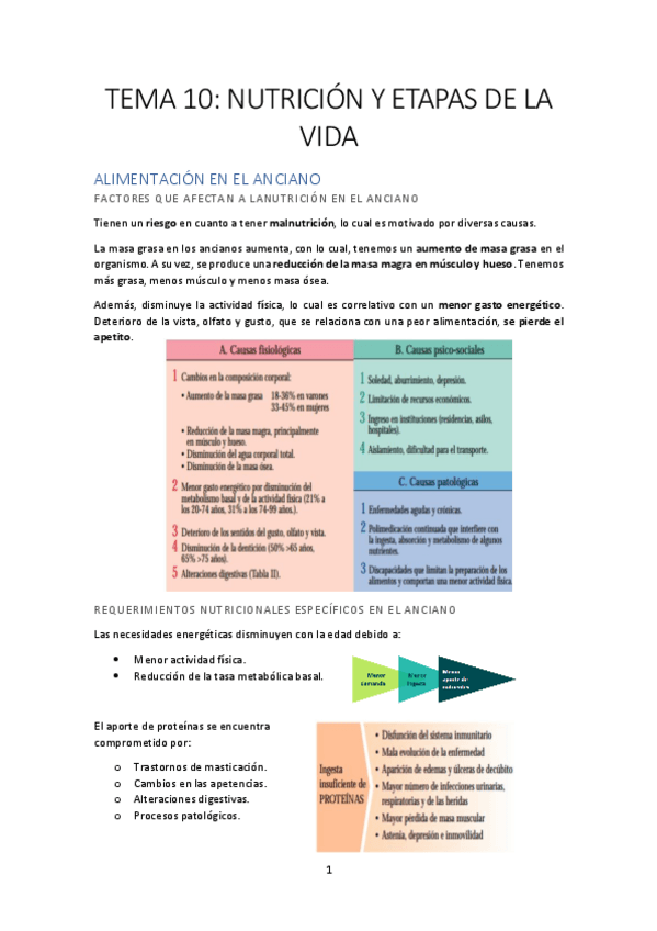 Miniatura del documento TEMA-10-Nutricion-y-etapas-de-la-vida.pdf