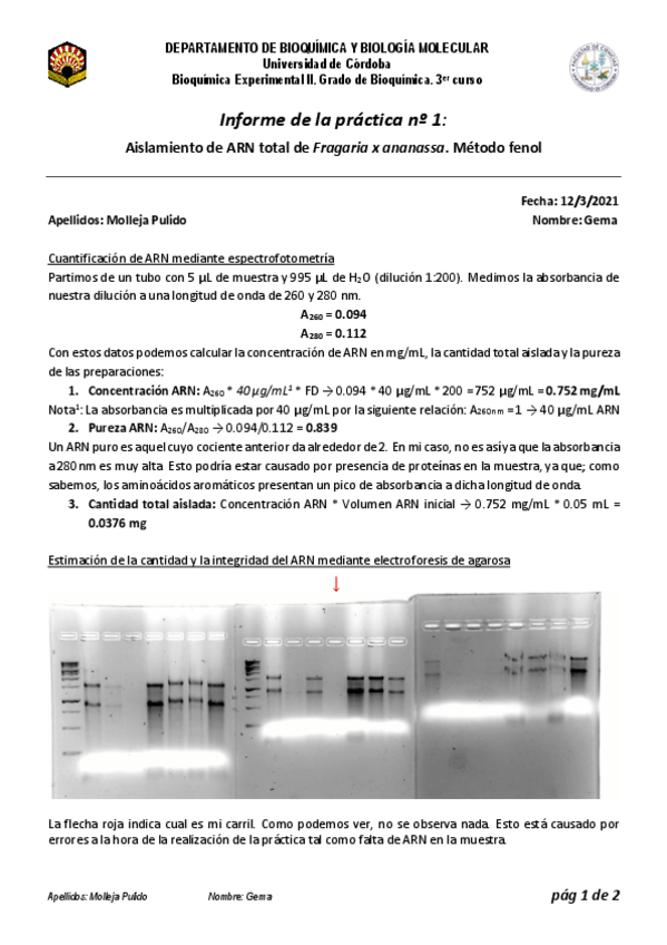 Miniatura del documento Molleja-Pulido-Gema-PL1.pdf