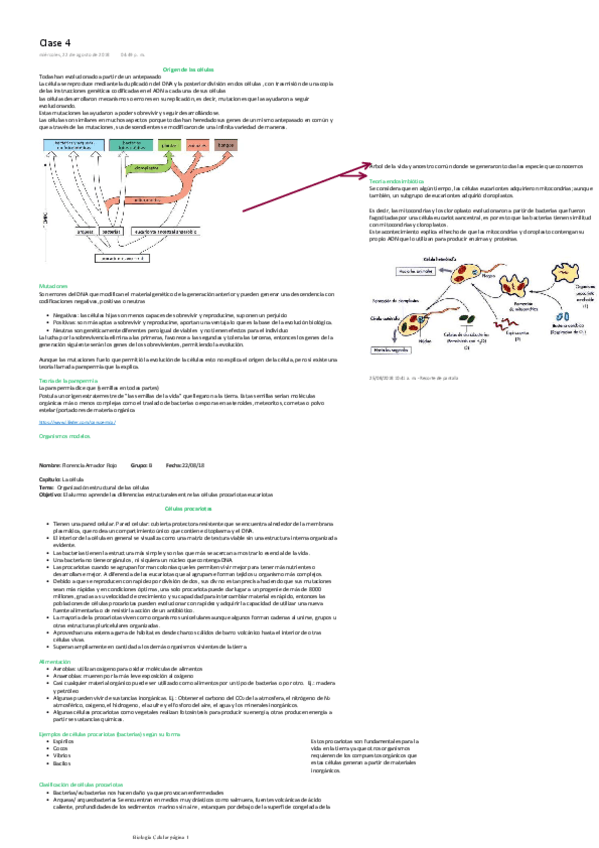 Miniatura del documento Organizacion-estructural-de-las-celulas.pdf