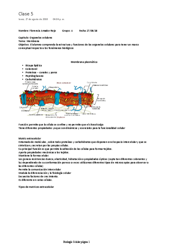 Miniatura del documento Membrana-celular.pdf