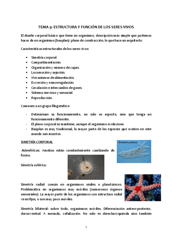 Miniatura del documento Tema-9-Estructura-y-funcion-de-los-seres-vivos.pdf