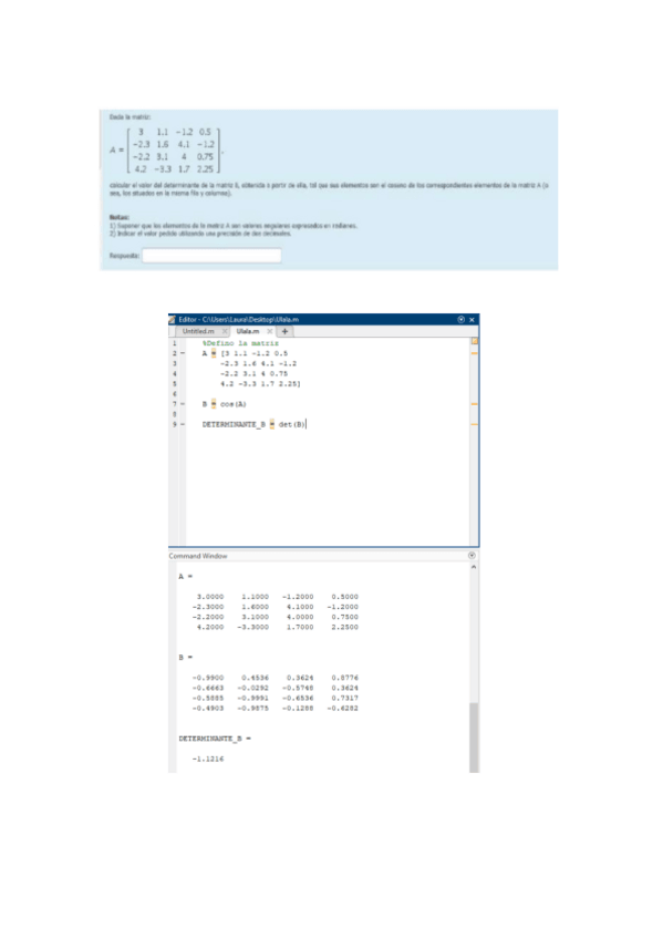 Miniatura del documento Resolucion-cuestionario-1-y-2-ejemplo.pdf