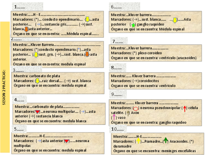 Miniatura del documento SESION-2.pdf