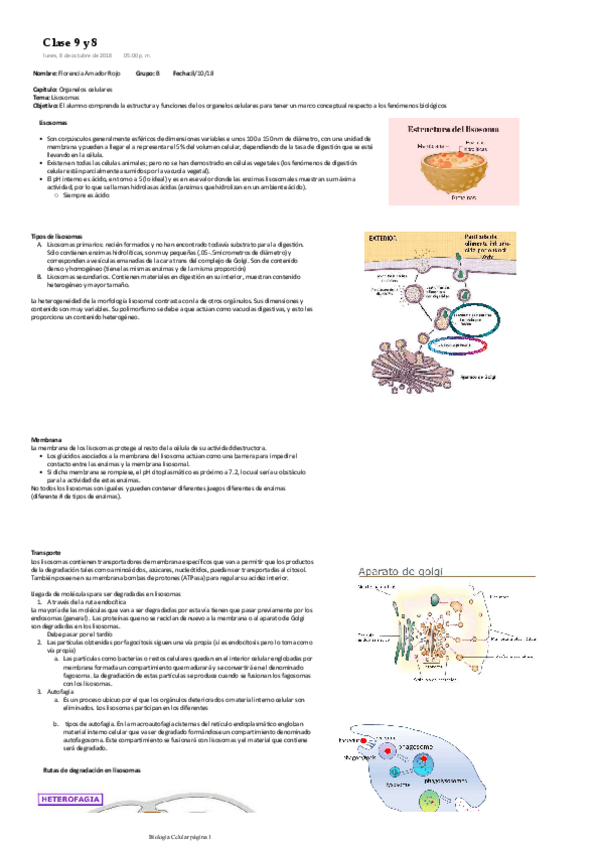 Miniatura del documento Lisosomas.pdf
