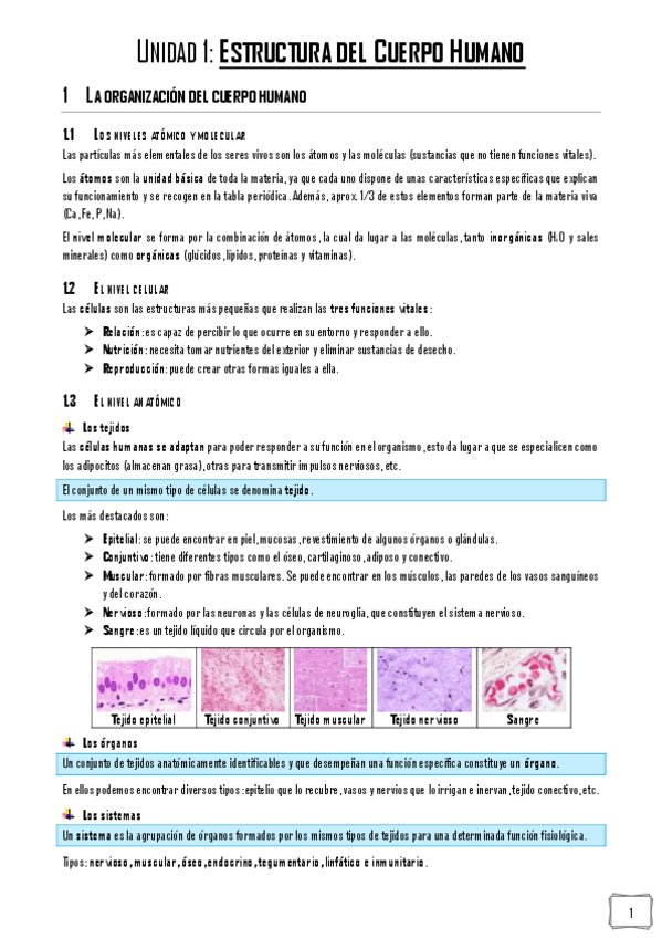 Miniatura del documento FPG-Apuntes.pdf