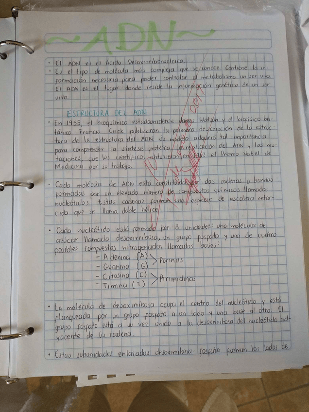 Miniatura del documento AND-y-ARN.jpg