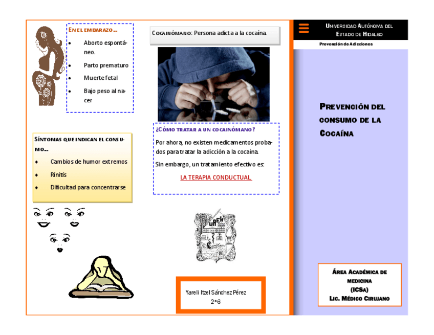 Miniatura del documento Cocaina.pdf