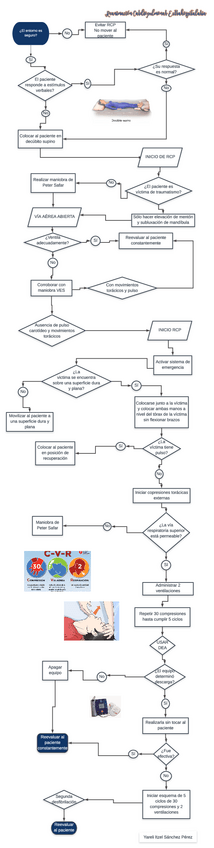 Miniatura del documento RCP.pdf