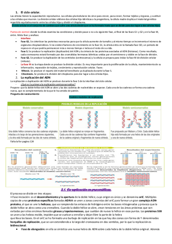 Miniatura del documento tema-8.pdf