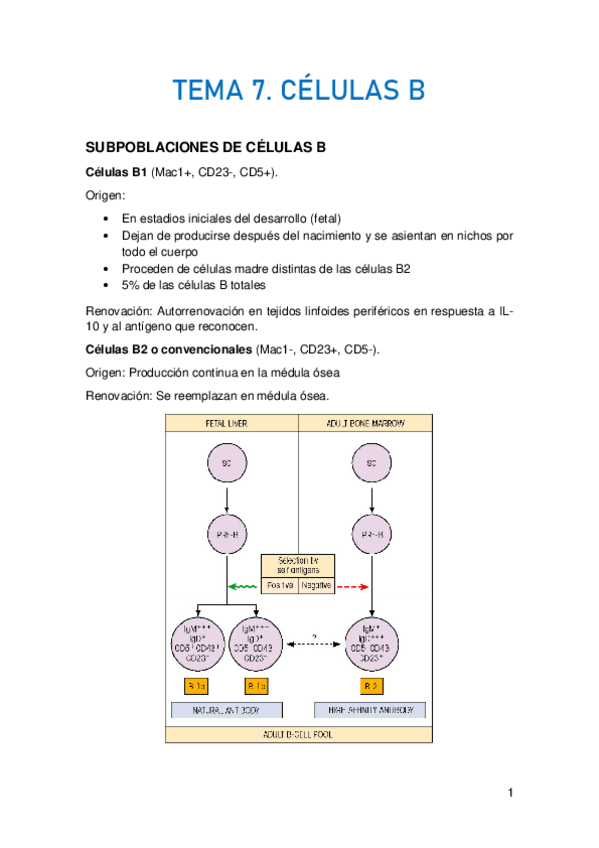 Miniatura del documento TEMA-7.pdf