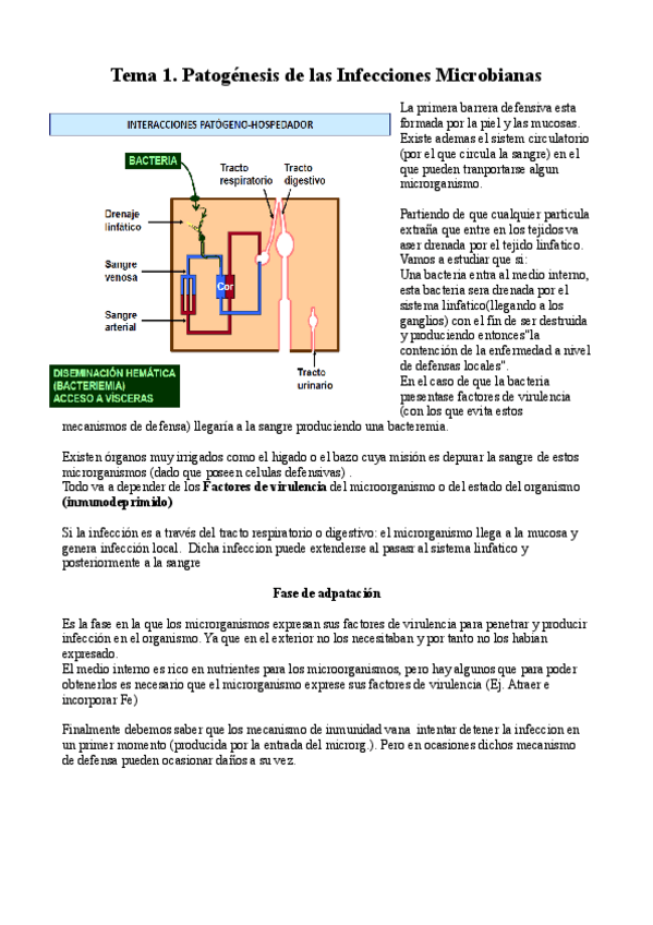 Miniatura del documento Tema 1.pdf