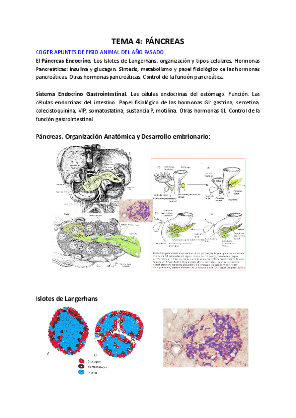 Miniatura del documento Tema-4.pdf