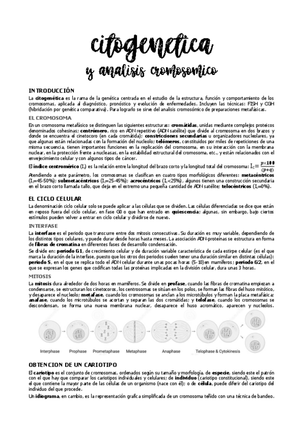 Miniatura del documento citogenetica.pdf