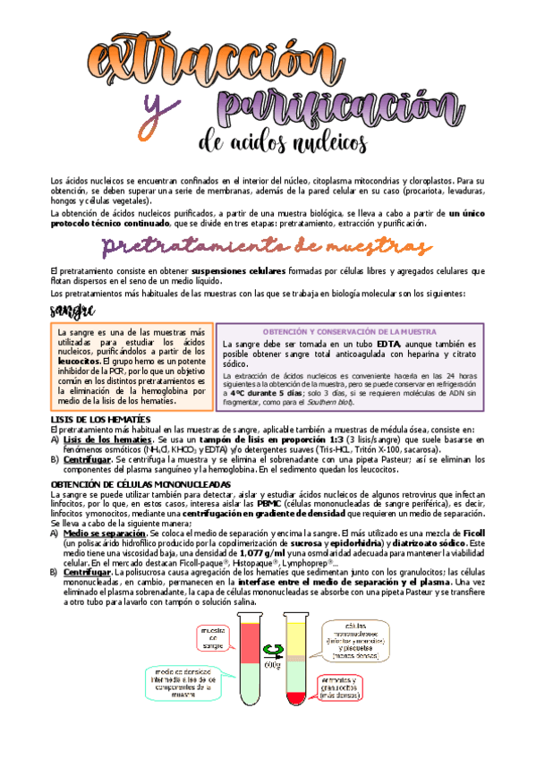 Miniatura del documento extraccion-de-AN.pdf