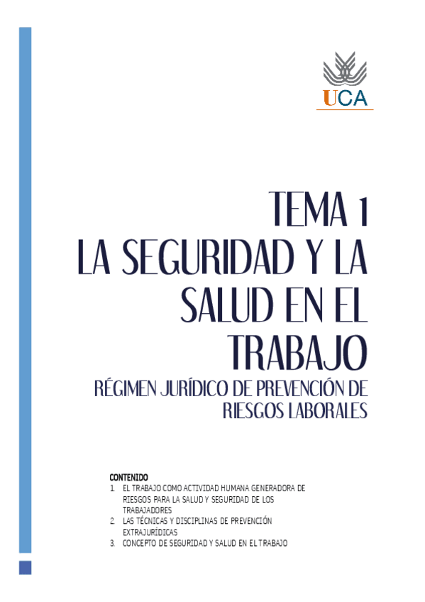 Miniatura del documento TEMAS-RJPRL.pdf