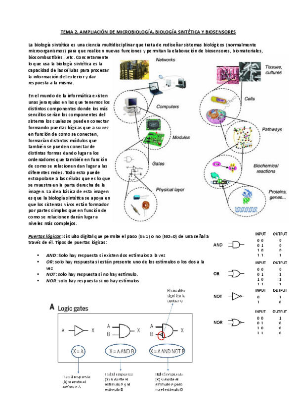 Miniatura del documento Tema-2-Ampli-micro.pdf