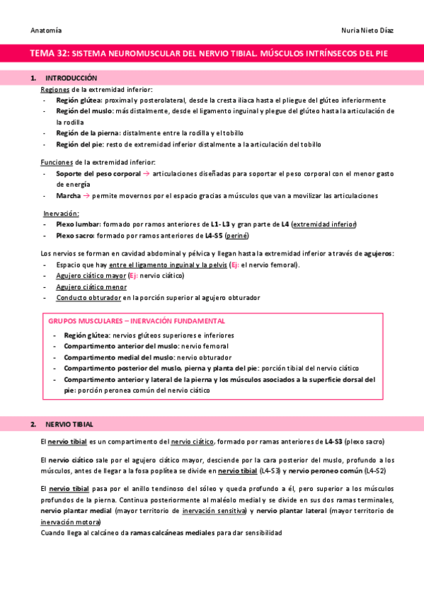 Miniatura del documento TEMA-32-Sistema-neuromuscular-del-nervio-tibial.pdf