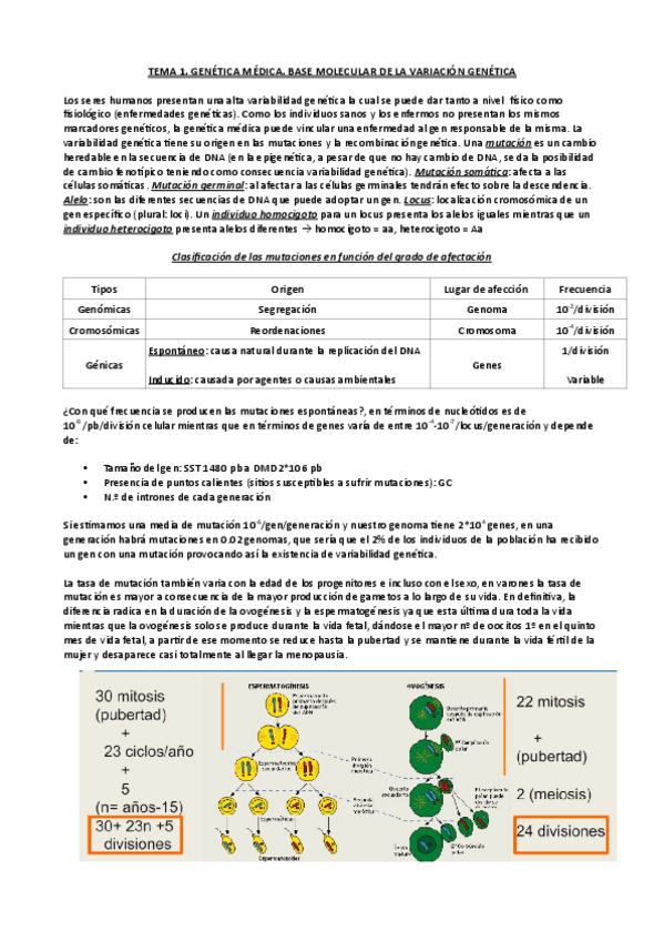 Miniatura del documento Tema-1-genetica-medica.pdf