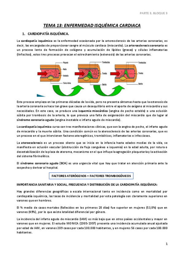 Miniatura del documento TEMA-13-PARTE-3.pdf