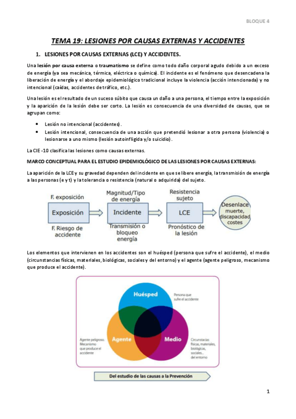 Miniatura del documento TEMA-19.pdf