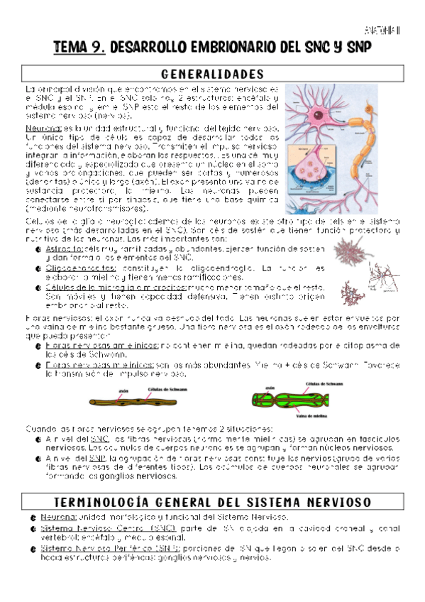 Miniatura del documento TEMA-9.pdf