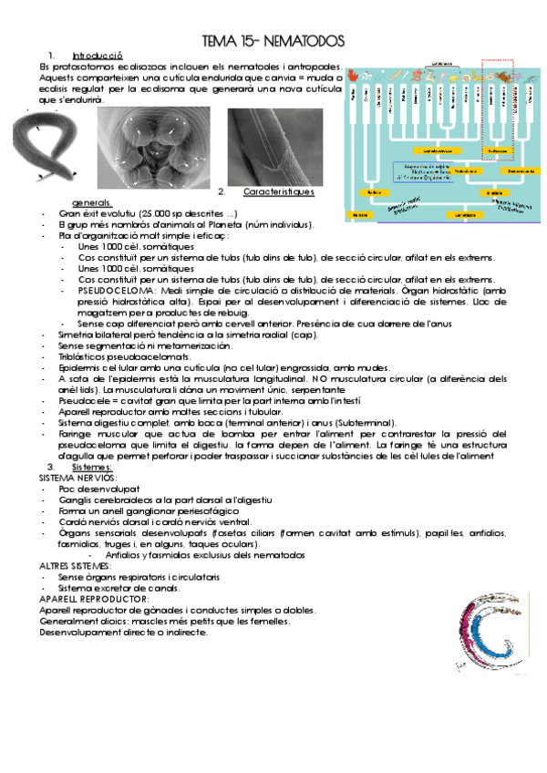 Miniatura del documento TEMA-15-NEMATODOS.pdf