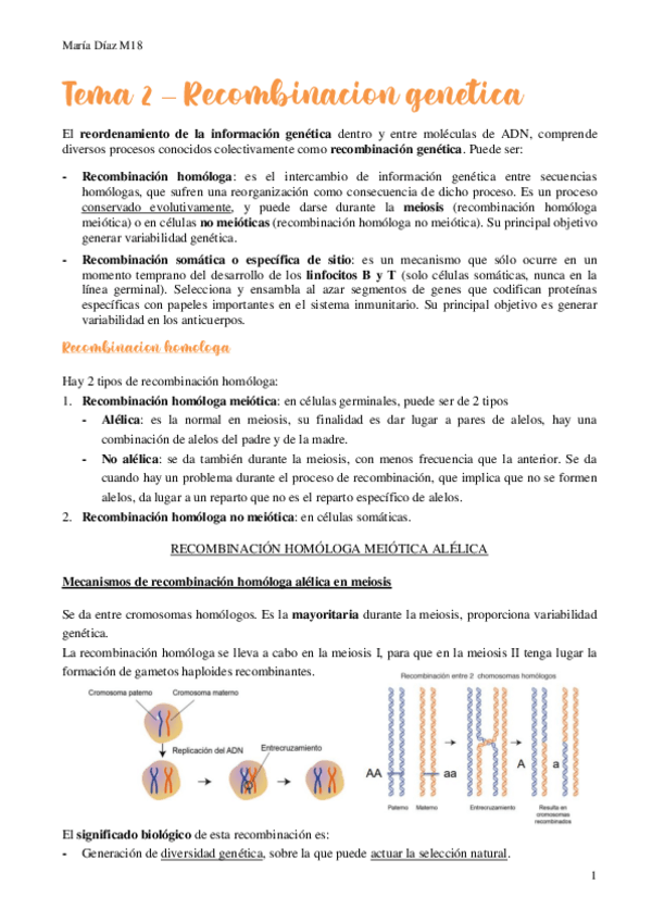 Miniatura del documento t2.pdf