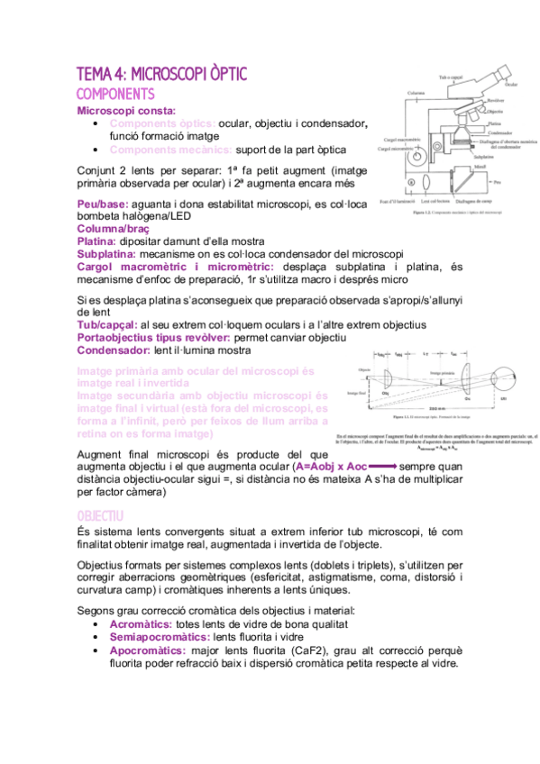 Miniatura del documento tema-4.pdf