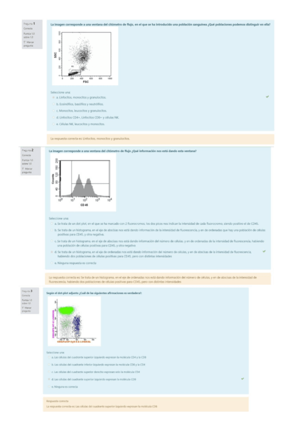 Miniatura del documento Examen-corregido.pdf