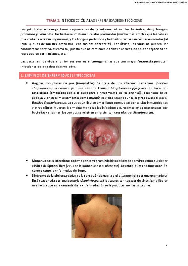 Miniatura del documento BLOQUE-I-PROCESOS-INFECCIOSOS-COMPLETOremoved.pdf