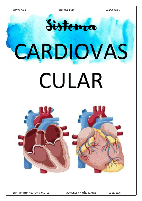 Miniatura del documento HISTO-CARDIOVASCULAR-ACTIV-convertido1.pdf