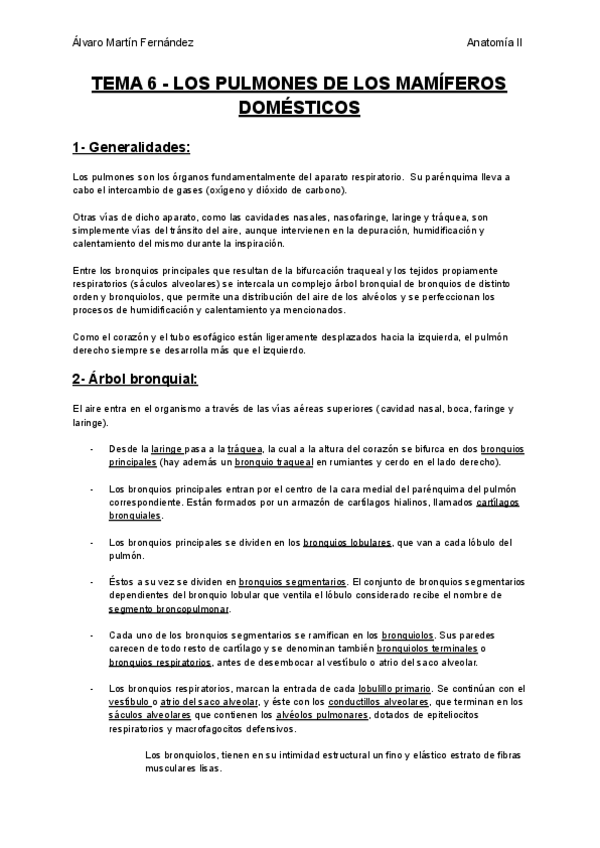 Miniatura del documento TEMA-6-LOS-PULMONES-DE-LOS-MAMIFEROS-DOMESTICOS.pdf