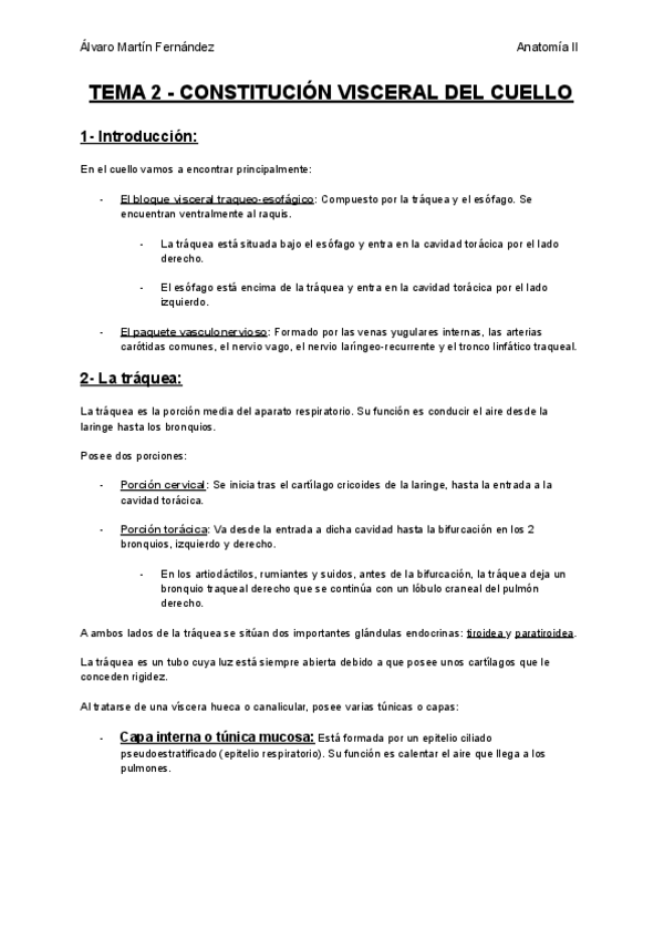 Miniatura del documento TEMA-2-CONSTITUCION-VISCERAL-DEL-CUELLO.pdf