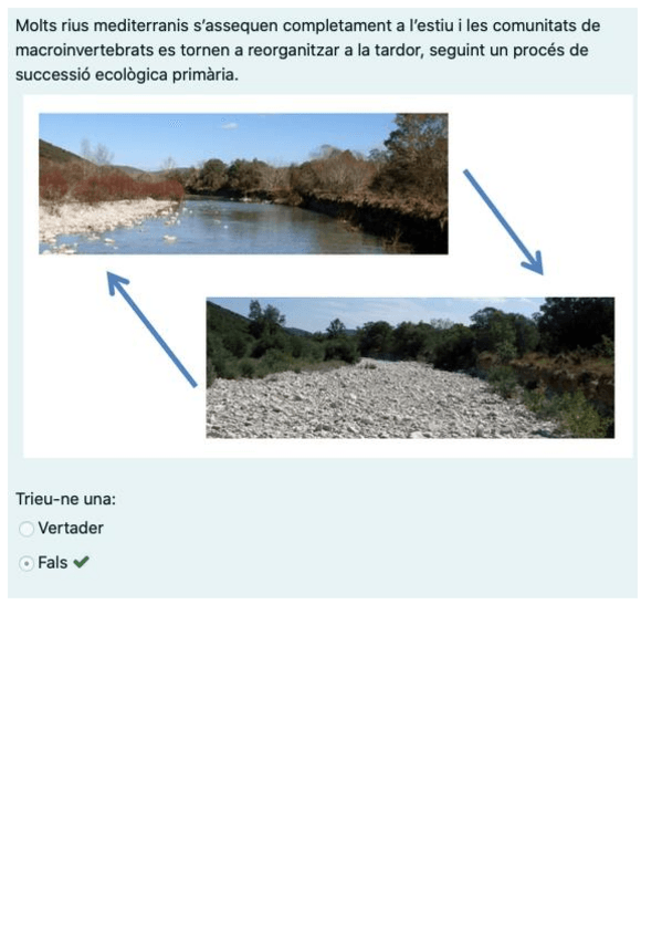 Miniatura del documento Questionari-sobre-UT8-i-UT9.pdf