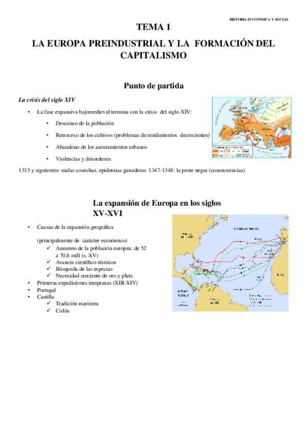 Miniatura del documento HES-TEMA-1.docx