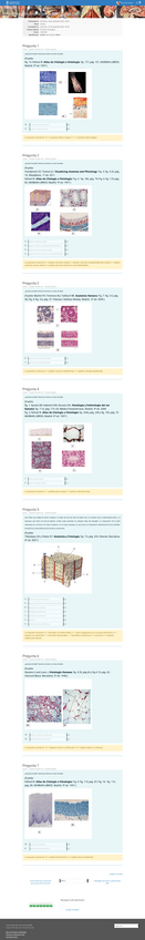 Miniatura del documento Autoevaluacio-1-Histologia-1.pdf