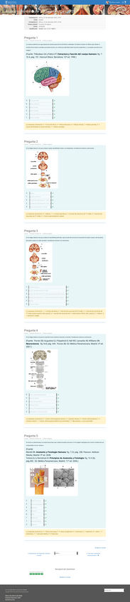 Miniatura del documento Autoevaluacio-2-Neuro-1.pdf