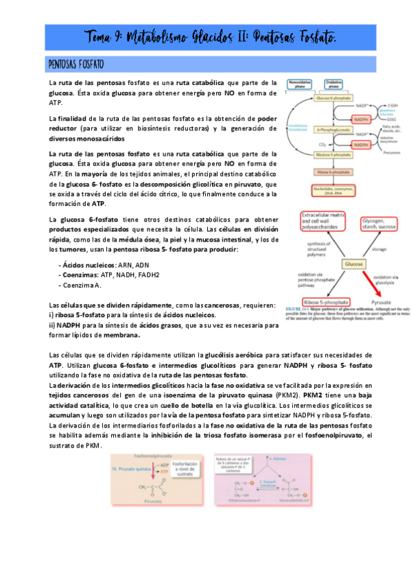 Miniatura del documento Bioquimica-2o-parcial-2.pdf