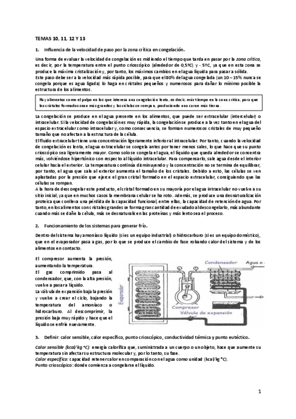 Miniatura del documento Recopilacion-preguntas-segundo-parcial.pdf