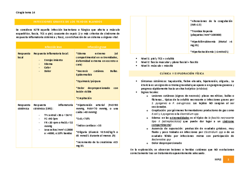Miniatura del documento Infecciones-graves-de-los-tejidos-blandos.pdf