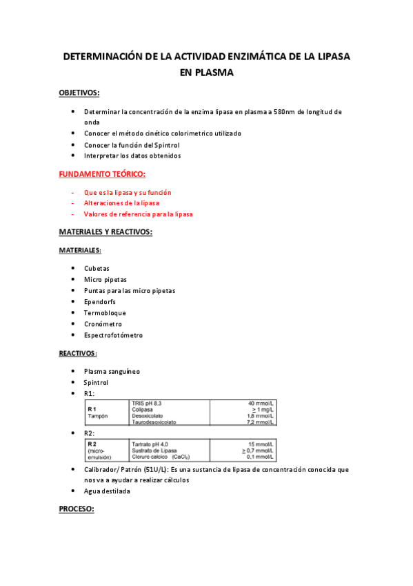 Miniatura del documento INFORME.pdf